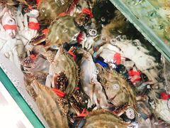 -春华海鲜城(广场西苑店)