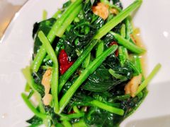 拍蒜地皮菠菜-阿五黄河大鲤鱼(海尚店)