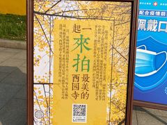 -西园戒幢律寺