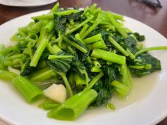 时令蔬菜-山菜馆(竹海公园店)