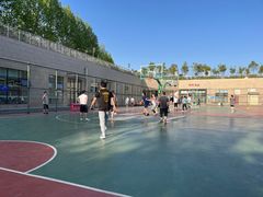 -天鹅湖体育公园