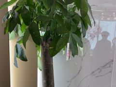 -普天和酒楼(天津之眼店)