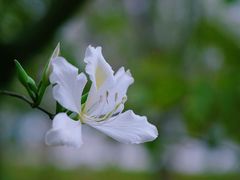 -南国桃园旅游度假区