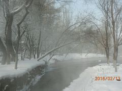 android_upload_pic-水磨沟公园