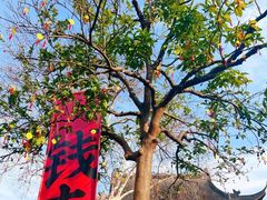 -钱王祠