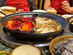 -杨肥肠火锅大排档(火车站花园店)