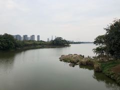 -顺峰山公园