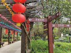 -白马涧龙池景区