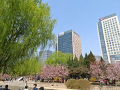 -元大都城垣遗址公园