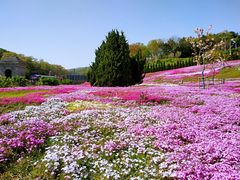-棒棰岛宾馆景区