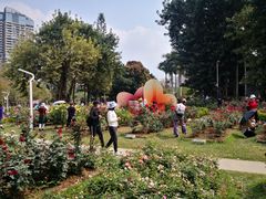 -人民公园(罗湖区)