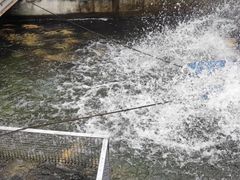 -京北渔家傲