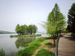 -水上明月·湖景餐厅
