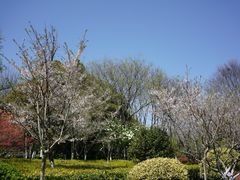 -杭州城北体育公园