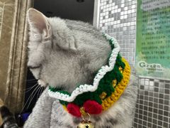 -艾贝尔宠物医院 ·内科全科(梁溪路店)