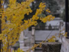 -阳明祠