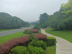 -棒棰岛宾馆景区