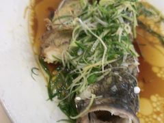 -凤城礼记鱼翅海鲜酒家(新马路总店)