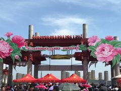 -曹州牡丹园