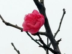 -山东大学(趵突泉校区)