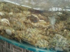 -蓝珊甄选海鲜自助·火锅大排档(近阿那亚店)