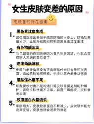 点击看大图 -凡碧诗毛孔清洁收细