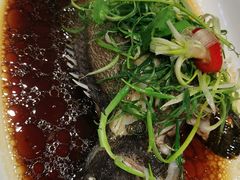 老虎斑-鹅公村·国家非遗传承(荔湾店)