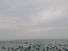 -枸杞岛