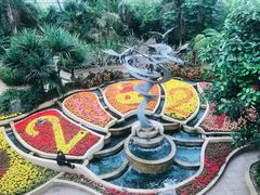 -南山植物园