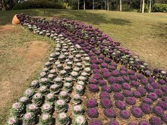 -云溪植物园
