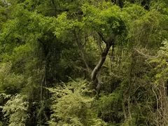 -青龙山国家森林公园