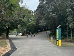 -中山市树木园