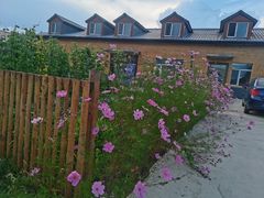 -北极村旅游风景区