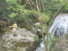 -牛背梁国家森林公园