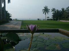 android_upload_pic-三亚海棠湾万丽度假酒店