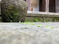 -东梓关景区村庄