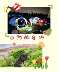 -麦粒鸟亲子游