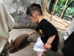 -Zoolung Zoolung动物主题公园(海信广场店)