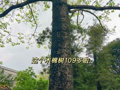 -黄埔古港