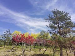 -西海子公园