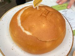 -大树餐厅(红旗街万达店)