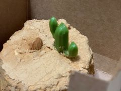 -星巴克(南京商厦店)