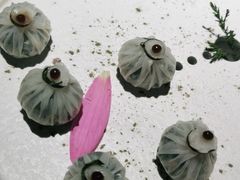 -梅花境(万科店)