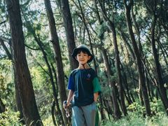-七曲山风景区