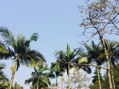-云溪植物园
