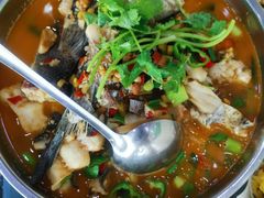-全乐鱼馆·淳牌有机鱼直营店