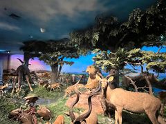 -国家自然博物馆