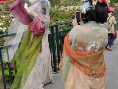 -曹州百花园