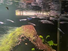 -太平洋海底世界