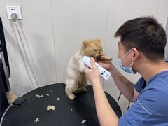 -中农大我爱我爱24h动物医院·中医针灸·猫专科·骨科医疗中心(双井店)
